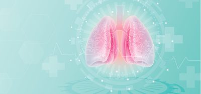 Lungs icon, flat style. Anatomy, healthcare or medicine concept. Isolated on blue background. Vector illustration