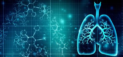 Healthy Human Lungs 2d illustration