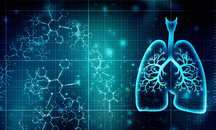 Healthy Human Lungs 2d illustration