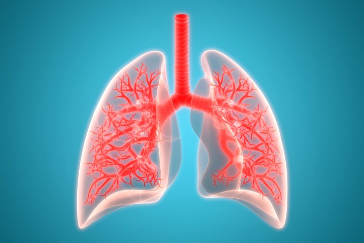 Lungs in red on a bright blue background