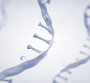 mRNA