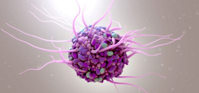 Macrophage