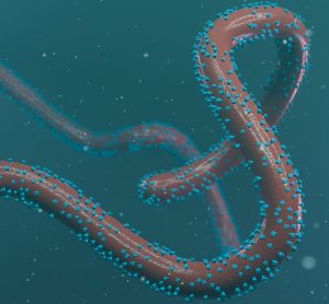 long thin filament-like viral particle in brown with blue surface glycoproteins that look like polka dots