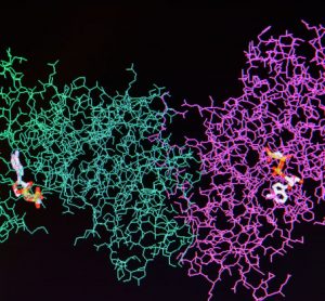 membrane-protein-crystallisation-method