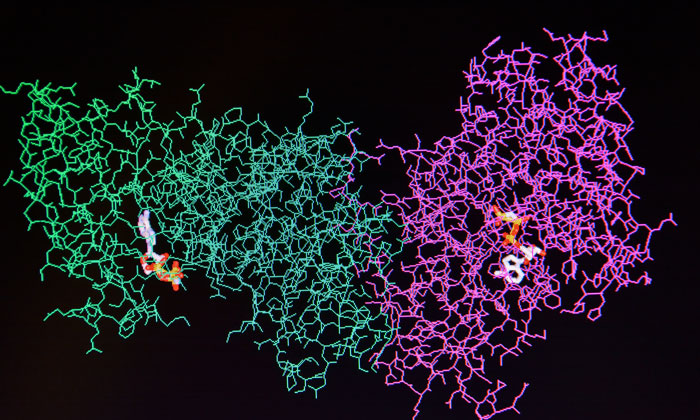 membrane-protein-crystallisation-method
