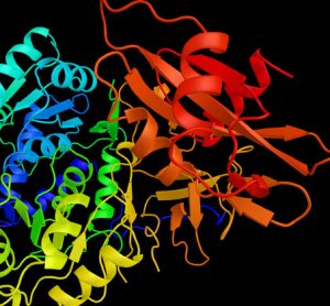 metalloenzyme-luciferase
