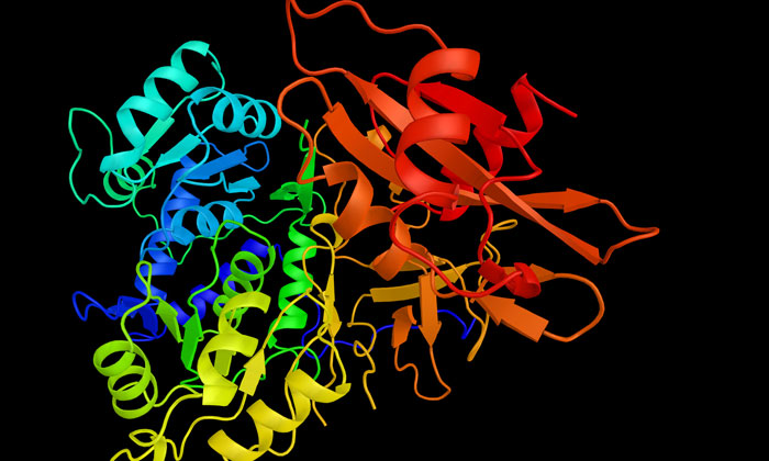 metalloenzyme-luciferase