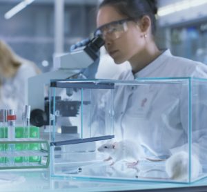 woman looking in a microscope with mice in a cage next to her