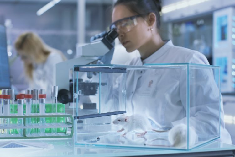 woman looking in a microscope with mice in a cage next to her