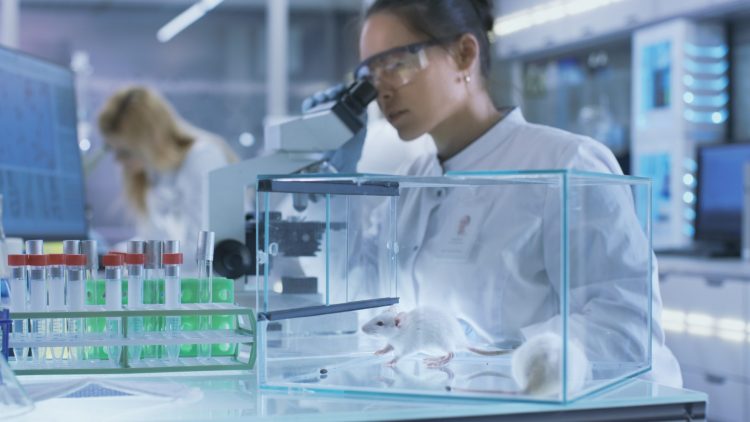 woman looking in a microscope with mice in a cage next to her