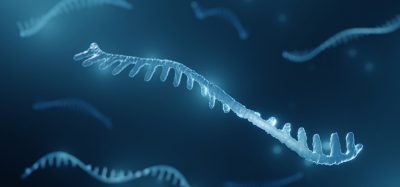 microRNA