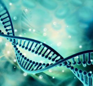 Microbial genomes