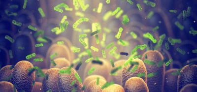 Image showing human microbiome