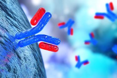 antibodies in red and blue