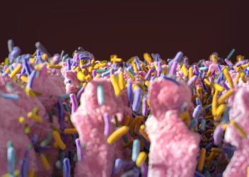 close up of intestinal villi with varying colours and sizes of bacteria