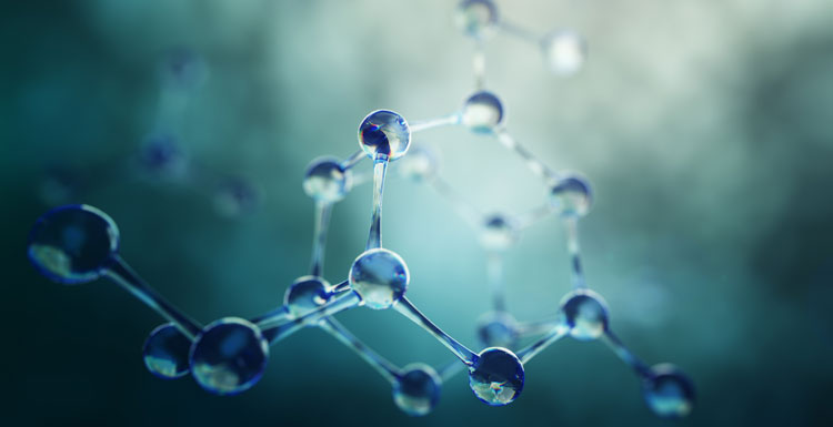 Molecule structure target validation