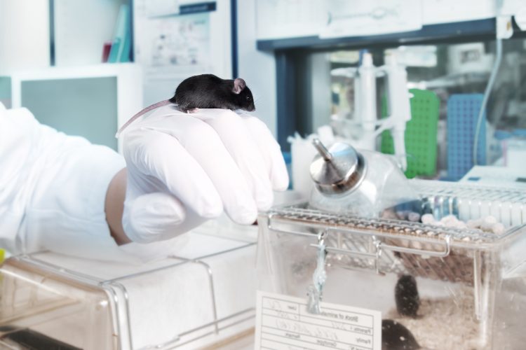 scientist holding a mouse in a laboratory