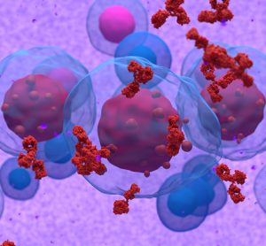 Abnormal plasma cell or b-cell in multiple myeloma emitting paraprotein 3d illustration