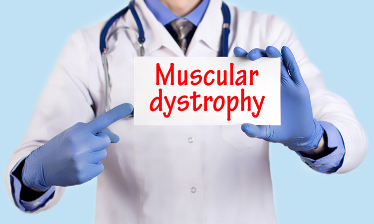 Lab-grown, self-sustainable muscle cells could repair muscular dystrophy