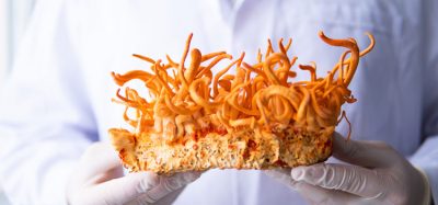 Mushrooms that could be therapeutic
