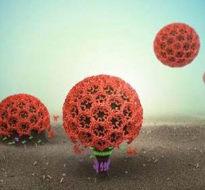 membrane