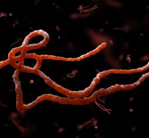 parasitic