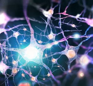 purple neurons with white 'signals' running along them