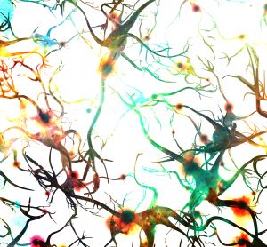 neurons firing