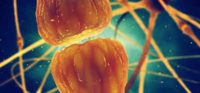 neurotransmitter receptor