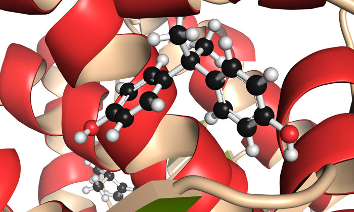 Administering hormones affects DNA