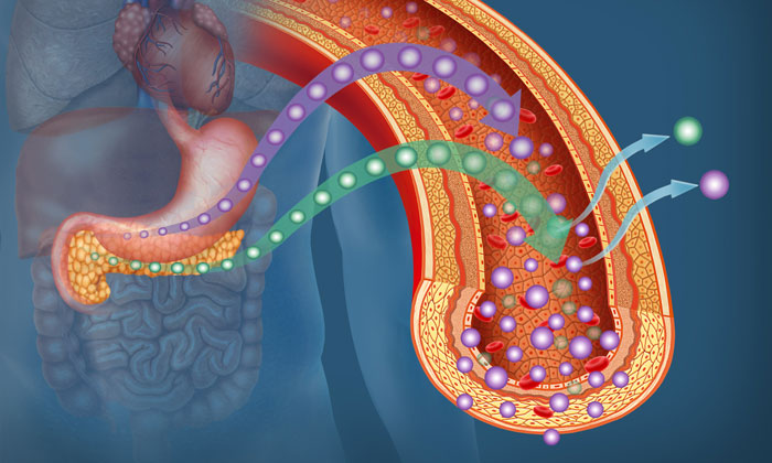 oestrogen-type-2-diabetes