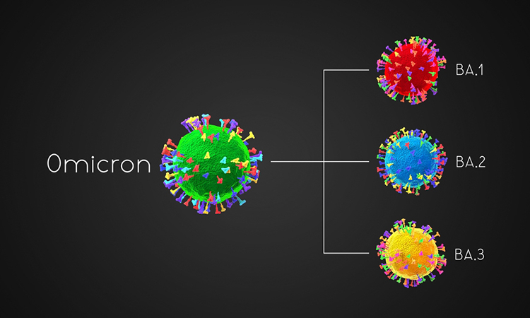 BA.1, BA.2, BA.3 - SARS-CoV-2 Covid-19 coronavirus omicron variants - 3D illustration