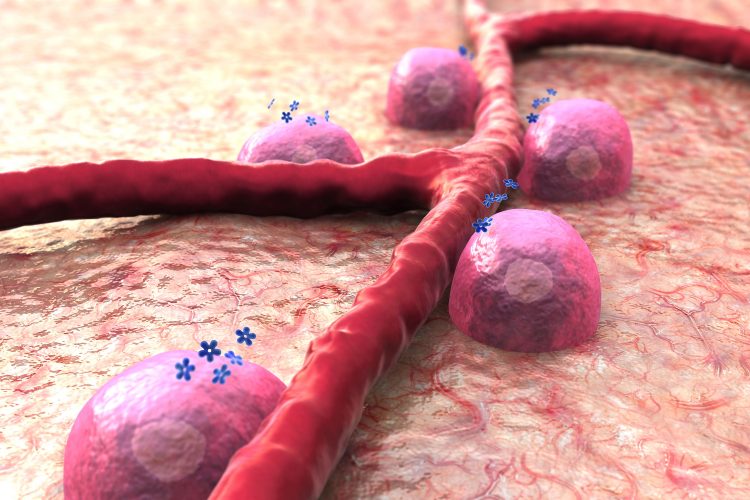 Beta cells in optogenetics application