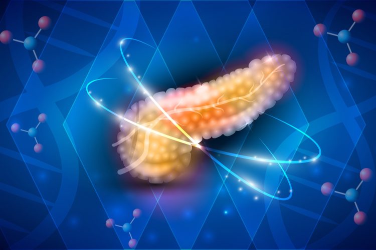 cartoon of a pancreas surrounded by various small molecules on a blue abstract background - idea of pancreatic cancer therapies