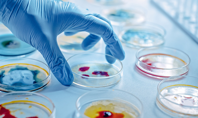 Image showing scientist working with petri dish