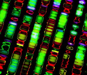 genomics