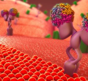 transmembrane proteins