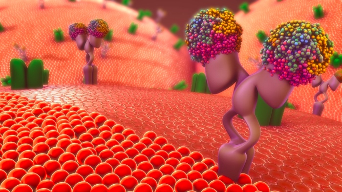 transmembrane proteins