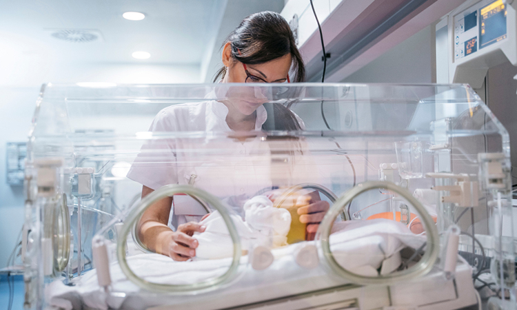 Image showing doctor examining newborn baby in incubator