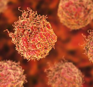 Cancer cells