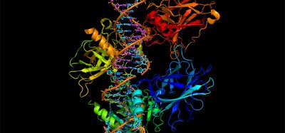 A ribbon model of molecules of protein p53 binding to a strand of DNA. The majority of human cancers involve mutations which make this protein inactive.