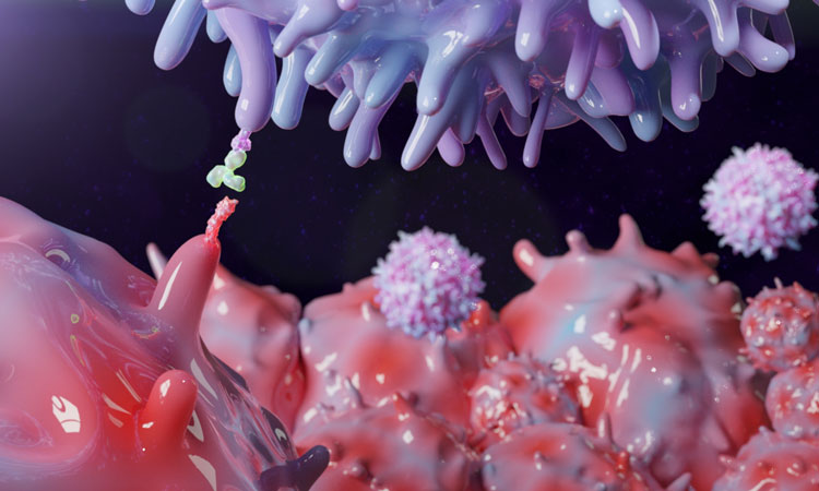 protein inhibitor binding