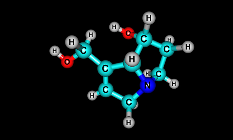 Retronecine is a pyrrolizidine alkaloid found in a variety of plants in the genera Senecio. 3d illustration