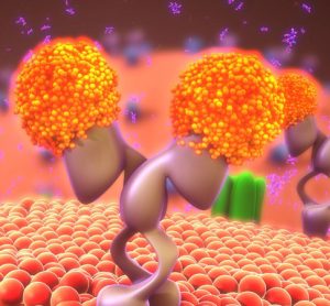 receptor protein neuropathy