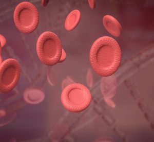 blood cell for sci or education concept 3d rendering
