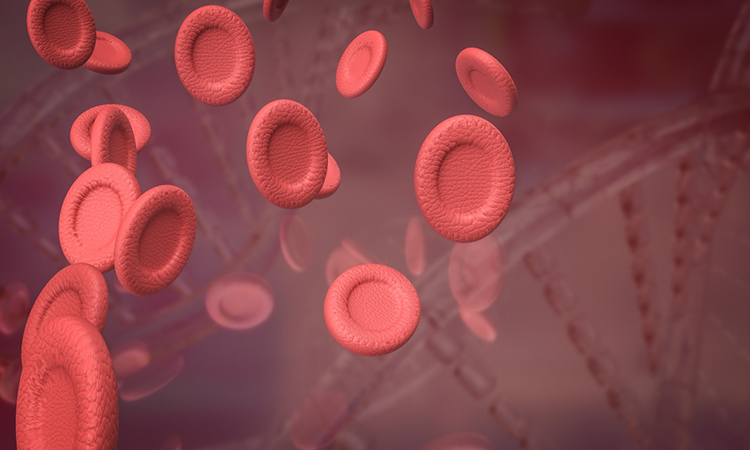 blood cell for sci or education concept 3d rendering