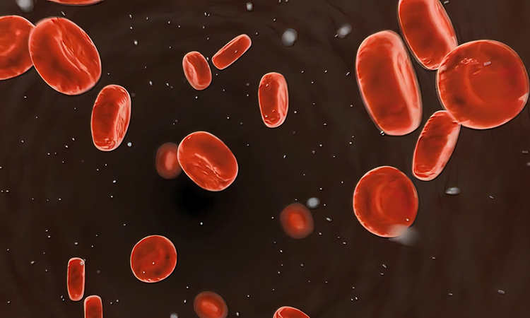 Image showing 3D illustration of red blood cells