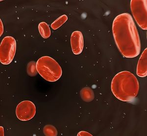 Image showing Red blood cells.