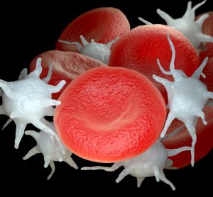 red blood cells and platelets mixed together