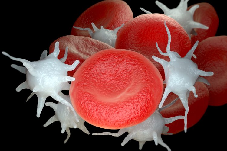 red blood cells and platelets mixed together